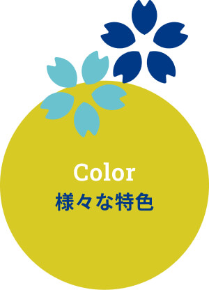 introduction_color
